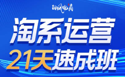 白凤电商·淘系运营21天速成班(更新6月)-彼飞网创