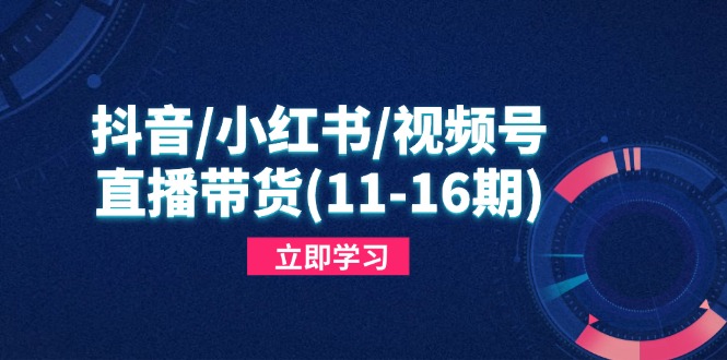 抖音/小红书/视频号/直播带货(11-16期-彼飞网创