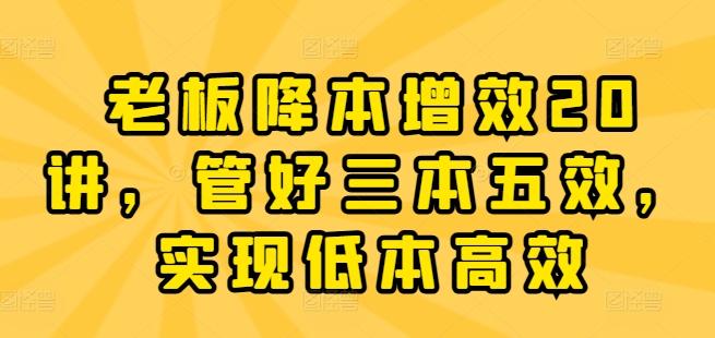 老板降本增效20讲，管好三本五效，实现低本高效-彼飞网创
