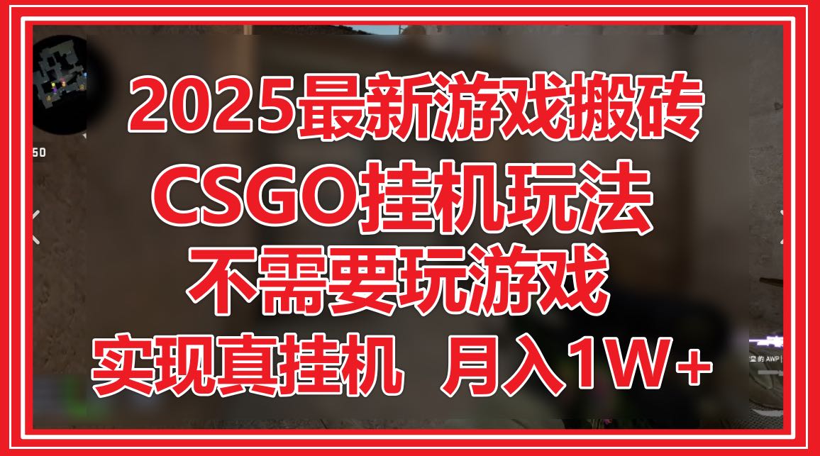 2025最新游戏搬砖，CSGO挂机，不需要玩游戏，实现真挂机，月入1W+-彼飞网创