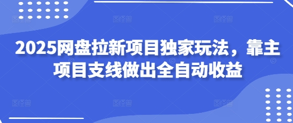 2025网盘拉新项目独家玩法，靠主项目支线做出全自动收益-彼飞网创