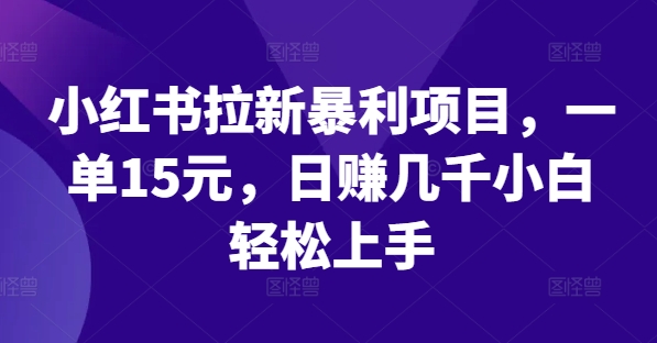 小红书拉新暴利项目，一单15元，日赚几千小白轻松上手【揭秘】-彼飞网创