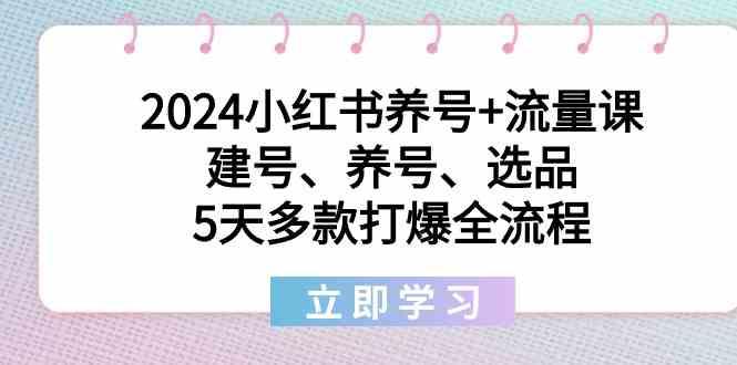 2024小红书养号+流量课：建号、养号、选品，5天多款打爆全流程-彼飞网创