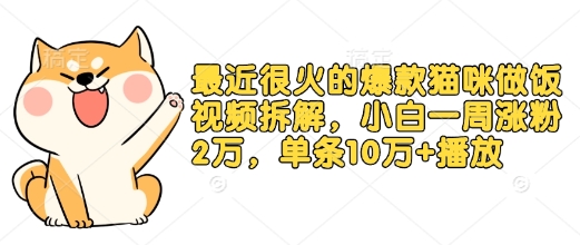 最近很火的爆款猫咪做饭视频拆解，小白一周涨粉2万，单条10万+播放(附保姆级教程)-彼飞网创