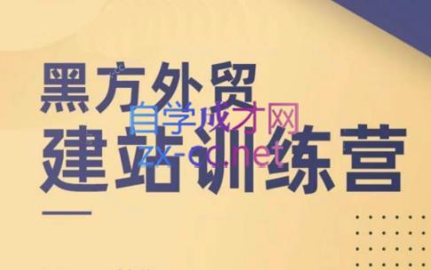 黑方老师·谷歌B端独立站建站推广-彼飞网创