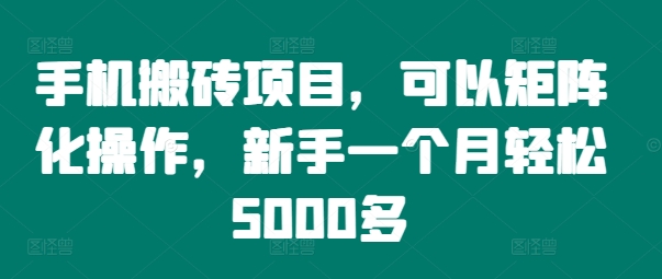 手机搬砖项目，可以矩阵化操作，新手一个月轻松5000多-彼飞网创