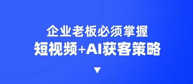 企业短视频AI获客霸屏流量课，6步短视频+AI突围法，3大霸屏抢客策略-彼飞网创