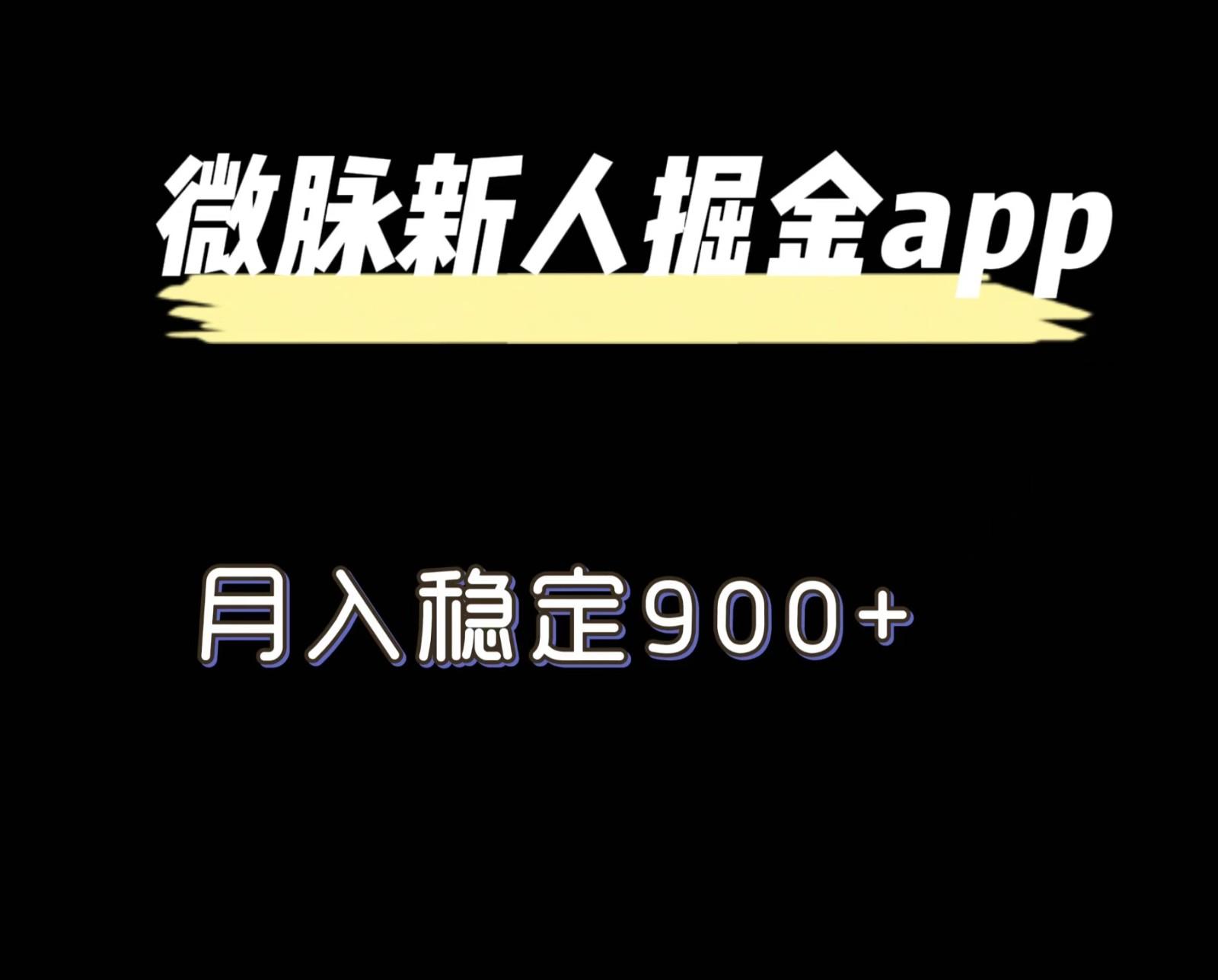 最新微脉长久项目，拉新掘金，月入稳定900+-彼飞网创
