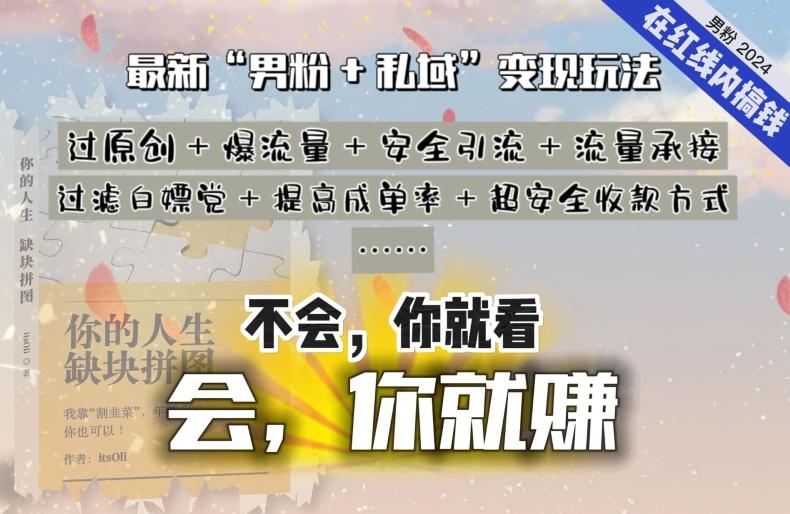 2024，“男粉+私域”还是最耐造、最赚、最轻松、最愉快的变现方式【揭秘】-彼飞网创