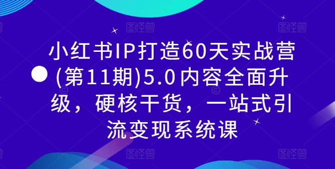 小红书IP打造60天实战营(第11期)5.0​内容全面升级，硬核干货，一站式引流变现系统课-彼飞网创