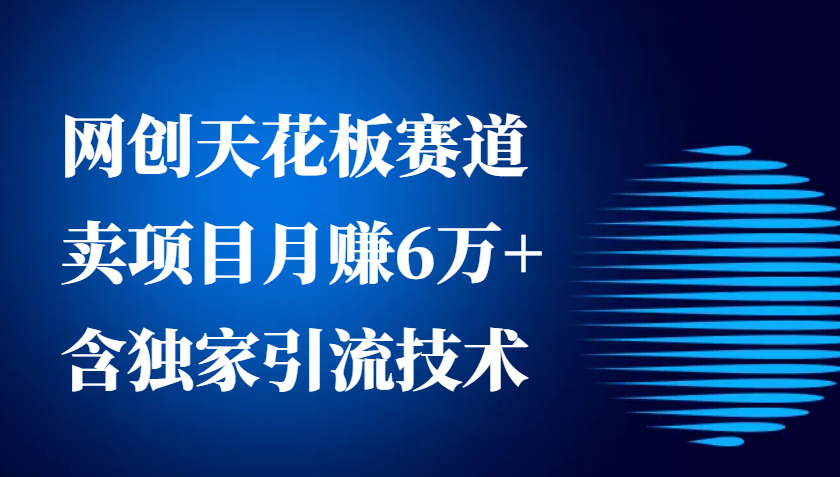 网创天花板赛道，卖项目月赚6万+，含独家引流技术(共26节课)-彼飞网创