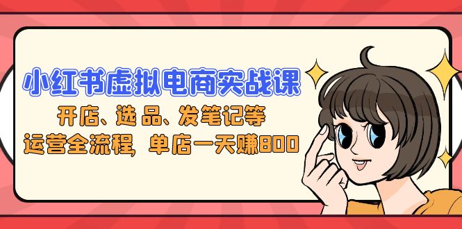 小红书虚拟电商实战课：开店、选品、发笔记等运营全流程，单店一天赚800-彼飞网创