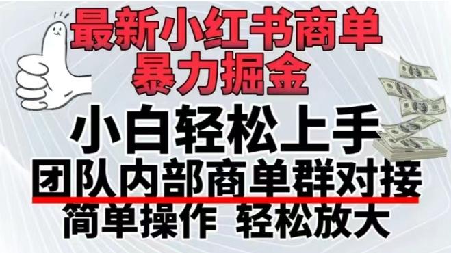 最新小红书商单，暴力掘金，单月稳定变现3W+-彼飞网创