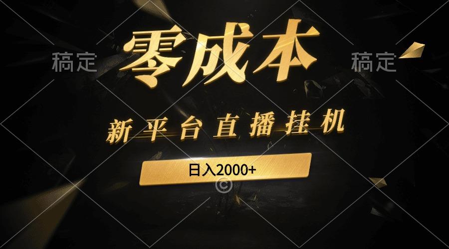(9841期)新平台直播挂机最新玩法，0成本，不违规，日入2000+-彼飞网创