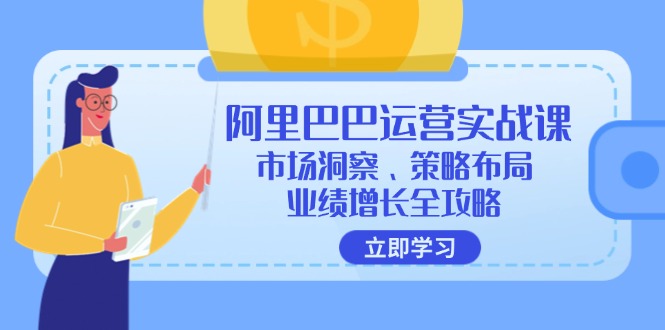 阿里巴巴运营实战课：市场洞察、策略布局、业绩增长全攻略-彼飞网创