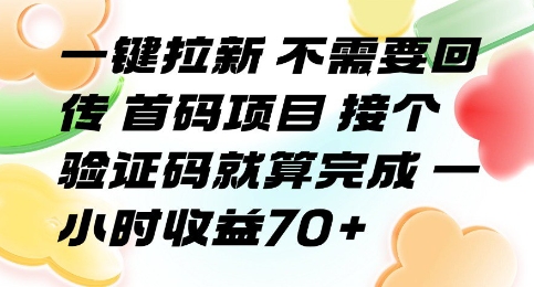 一键拉新 不需要回传 首码项目 接个验证码就算完成 一小时收益70+【揭秘】-彼飞网创