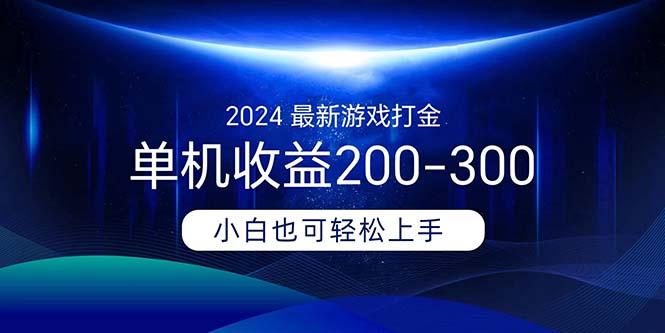 2024最新游戏打金单机收益200-300-彼飞网创