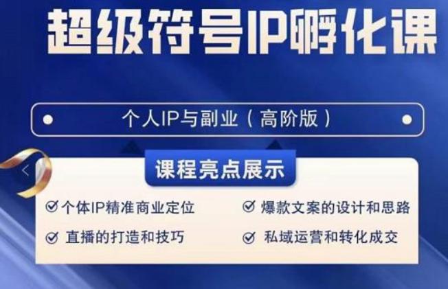超级符号IP孵化高阶课，建立流量思维底层逻辑，打造属于自己IP（51节课）-彼飞网创