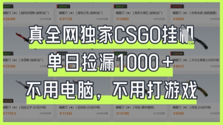 真全网独家CSGO挂G，单日捡漏1k+【揭秘】-彼飞网创