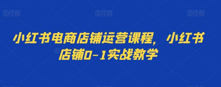 小红书电商店铺运营课程，小红书店铺0-1实战教学-彼飞网创