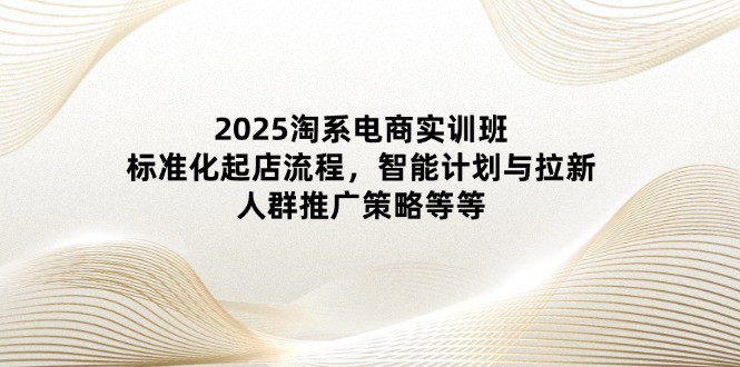 2025淘系电商实训班：标准化起店流程，智能计划与拉新，人群推广策略等等-彼飞网创