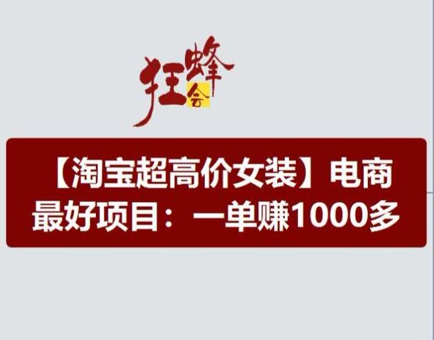 淘宝超高价女装项目，电商最好赛道，一单赚1000多-彼飞网创