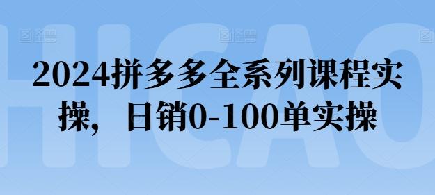 2024拼多多全系列课程实操，日销0-100单实操【必看】-彼飞网创