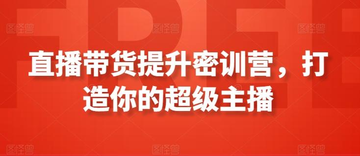 直播带货提升密训营，打造你的超级主播-彼飞网创