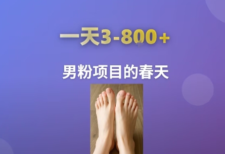 AI一键生成美女素材，一天收益3-8张，男粉项目的春天-彼飞网创