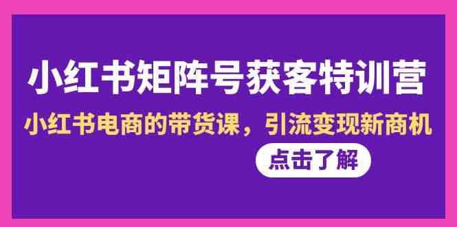 小红书矩阵号获客特训营-第10期，小红书电商的带货课，引流变现新商机-彼飞网创