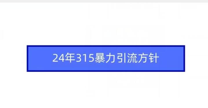 24年315暴力引流方针-彼飞网创