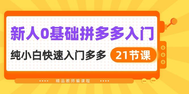 新人0基础拼多多入门，​纯小白快速入门多多(21节课-彼飞网创