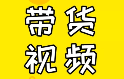 芒果老师·教你做抖音短视频和直播带货-彼飞网创