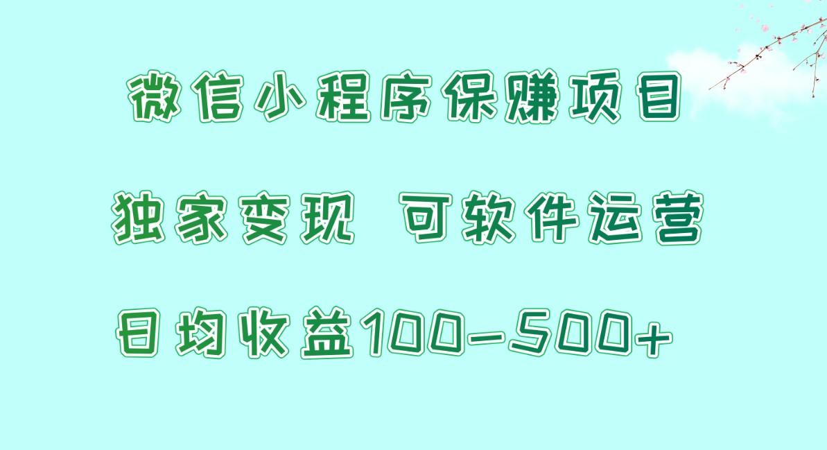 微信小程序保赚项目，日均收益100~500+，独家变现，可软件运营-彼飞网创