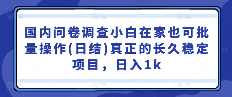 国内问卷调查小白在家也可批量操作(日结)真正的长久稳定项目，日入1k【揭秘】-彼飞网创