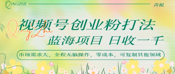 视频号创业粉打法，日入1k，蓝海项目，市场需求大，全程无脑操作，可复制-彼飞网创