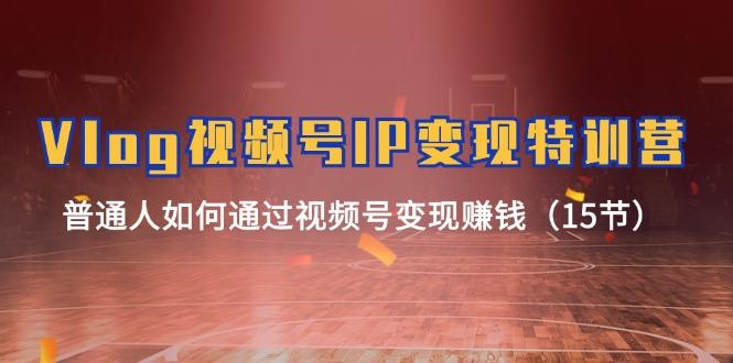Vlog 视频号IP变现特训营，普通人如何通过视频号变现赚钱(15节-彼飞网创