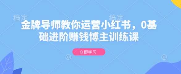 金牌导师教你运营小红书，0基础进阶赚钱博主训练课-彼飞网创