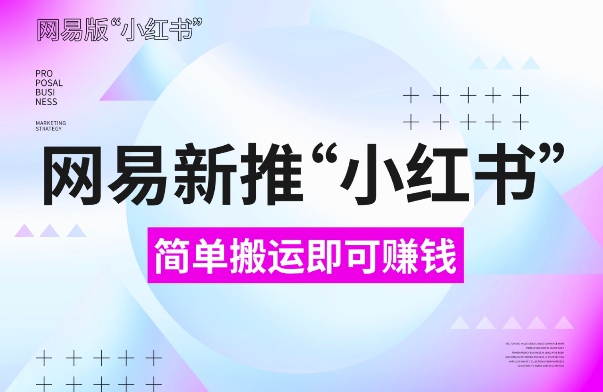 网易官方新推“小红书”，搬运即有收益，新手小白千万别错过(附详细教程)【揭秘】-彼飞网创