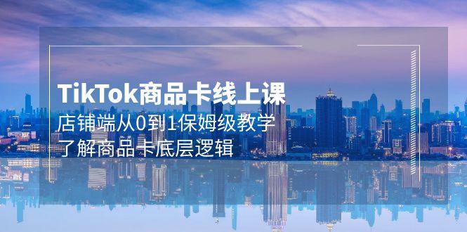 (9843期)Tk商品卡线上课，店铺端从0到1保姆级教学，了解商品卡底层逻辑(20节)-彼飞网创
