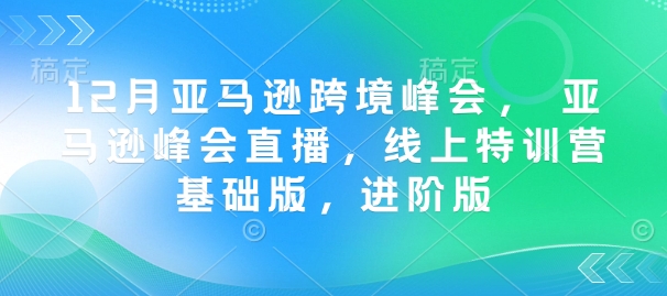 12月亚马逊跨境峰会， 亚马逊峰会直播，线上特训营基础版，进阶版-彼飞网创