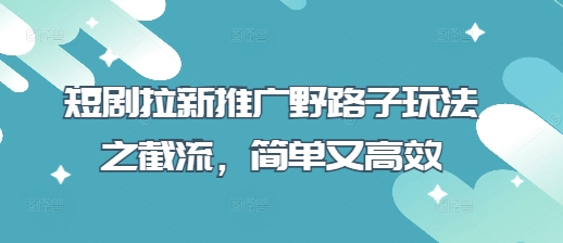 短剧拉新推广野路子玩法之截流，简单又高效-彼飞网创