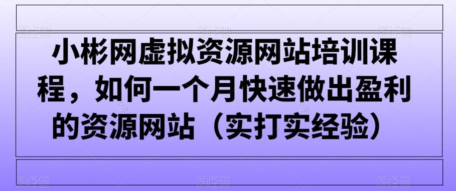 小彬网虚拟资源网站培训课程，如何一个月快速做出盈利的资源网站(实打实经验)-彼飞网创