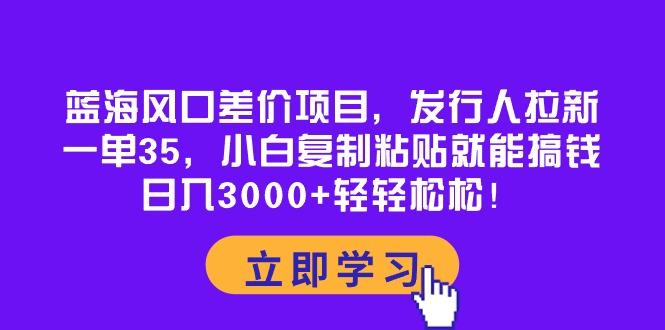 蓝海风口差价项目，发行人拉新，一单35，小白复制粘贴就能搞钱！日入30…-彼飞网创
