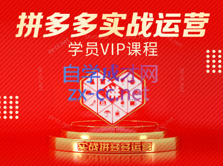 推易电商·拼多多实战运营课(更新2025月)-彼飞网创