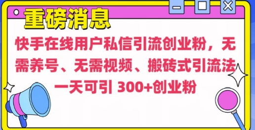 快手最新引流创业粉方法，无需养号、无需视频、搬砖式引流法【揭秘】-彼飞网创