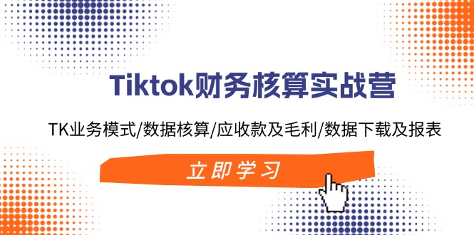 Tiktok财务核算实战营：TK业务模式/数据核算/应收款及毛利/数据下载及报表-彼飞网创