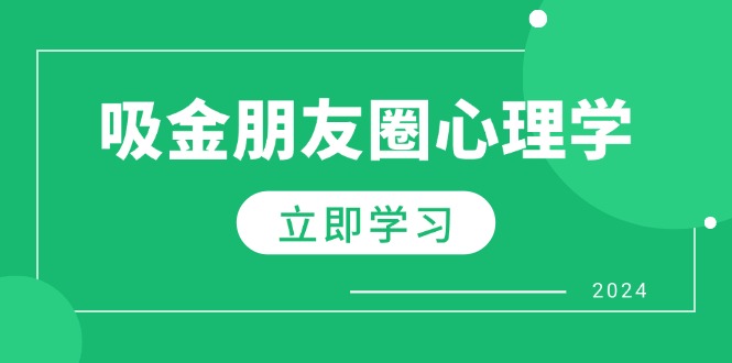 朋友圈吸金心理学：揭秘心理学原理，增加业绩，打造个人IP与行业权威-彼飞网创