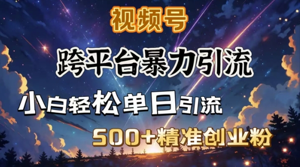 跨平台暴力引流，私域完美闭环，日引500+精准创业粉-彼飞网创