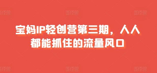 宝妈IP轻创营第三期，人人都能抓住的流量风口-彼飞网创